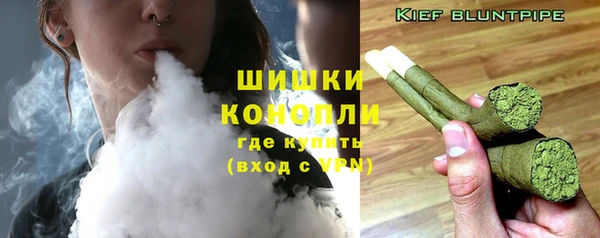 сатива Баксан