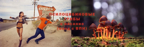 сатива Баксан