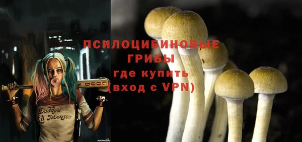 сатива Баксан