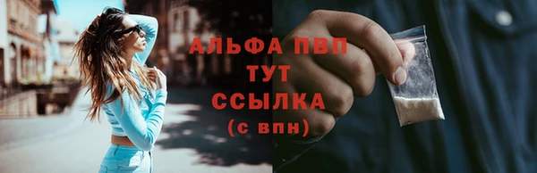 сатива Баксан
