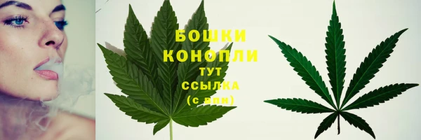 крисы Балабаново