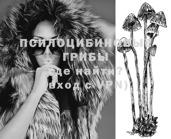 сатива Баксан