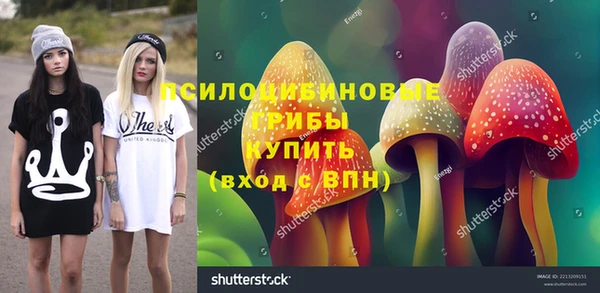сатива Баксан
