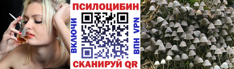дарк нет клад  Углегорск  Псилоцибиновые грибы Magic Shrooms 