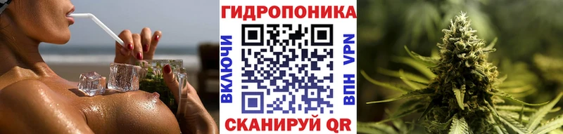 Бошки Шишки индика  ссылка на мегу ONION  Углегорск 